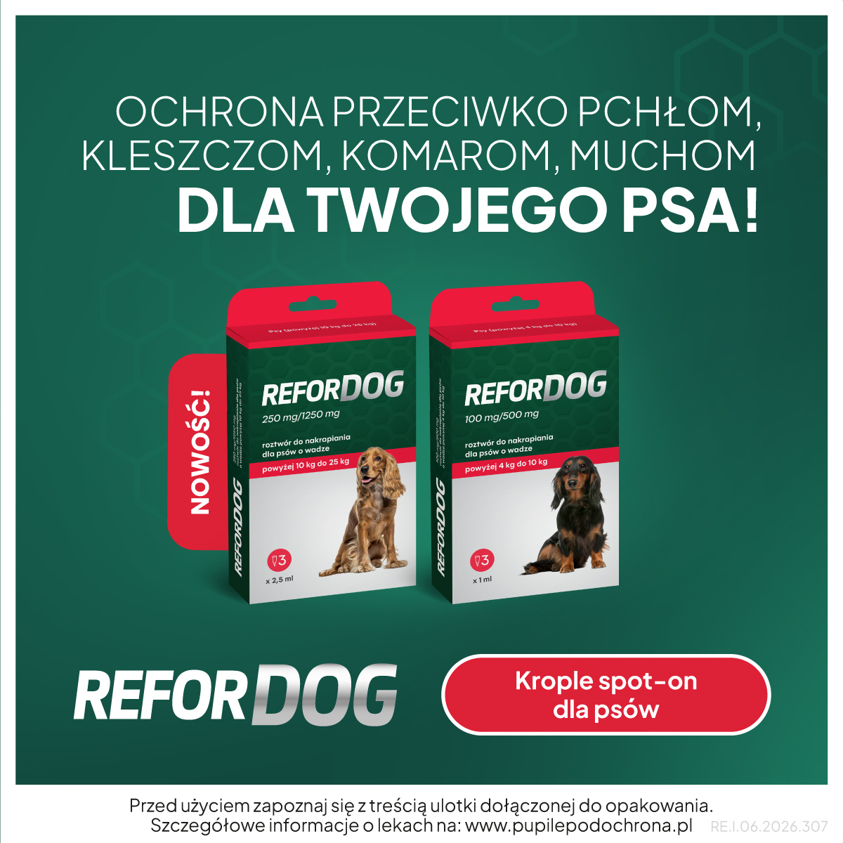 Jesienne zagrożenia dla psów. Kleszcze, pchły i choroby wektorowe.